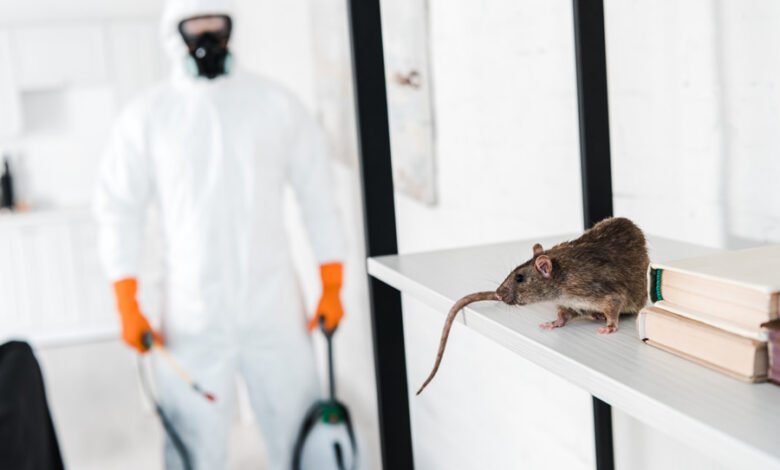 pest control