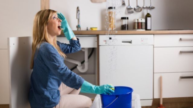 Essential Tips For Handling Unexpected Home Plumbing Issues