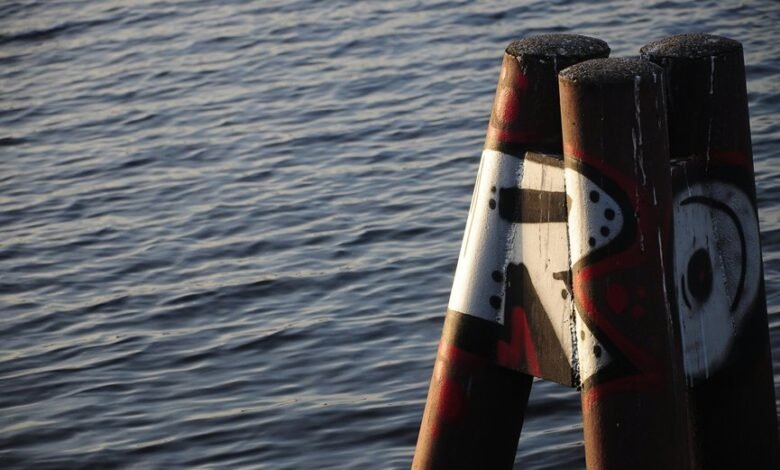 install mozilla d5 2f5 guide