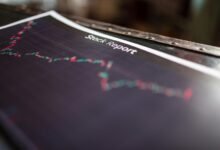 ip activity report summary