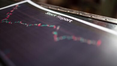 ip activity report summary