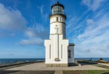 market growth strategies unveiled