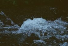 momentum edge conversion stream