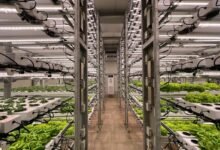 unlock growth with creativity