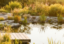 Why Winter Is the Best Time to Buy a Barrel Sauna as a Beginner