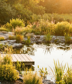 Why Winter Is the Best Time to Buy a Barrel Sauna as a Beginner